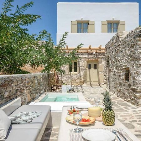 Villa Anthemion Naxos With Outdoor Jacuzzi Ano Sangrion エクステリア 写真