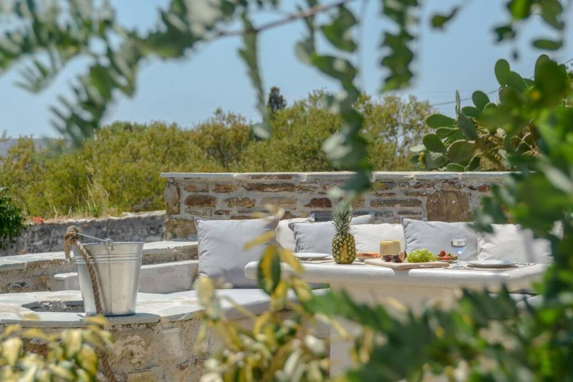 Villa Anthemion Naxos With Outdoor Jacuzzi Ano Sangrion エクステリア 写真