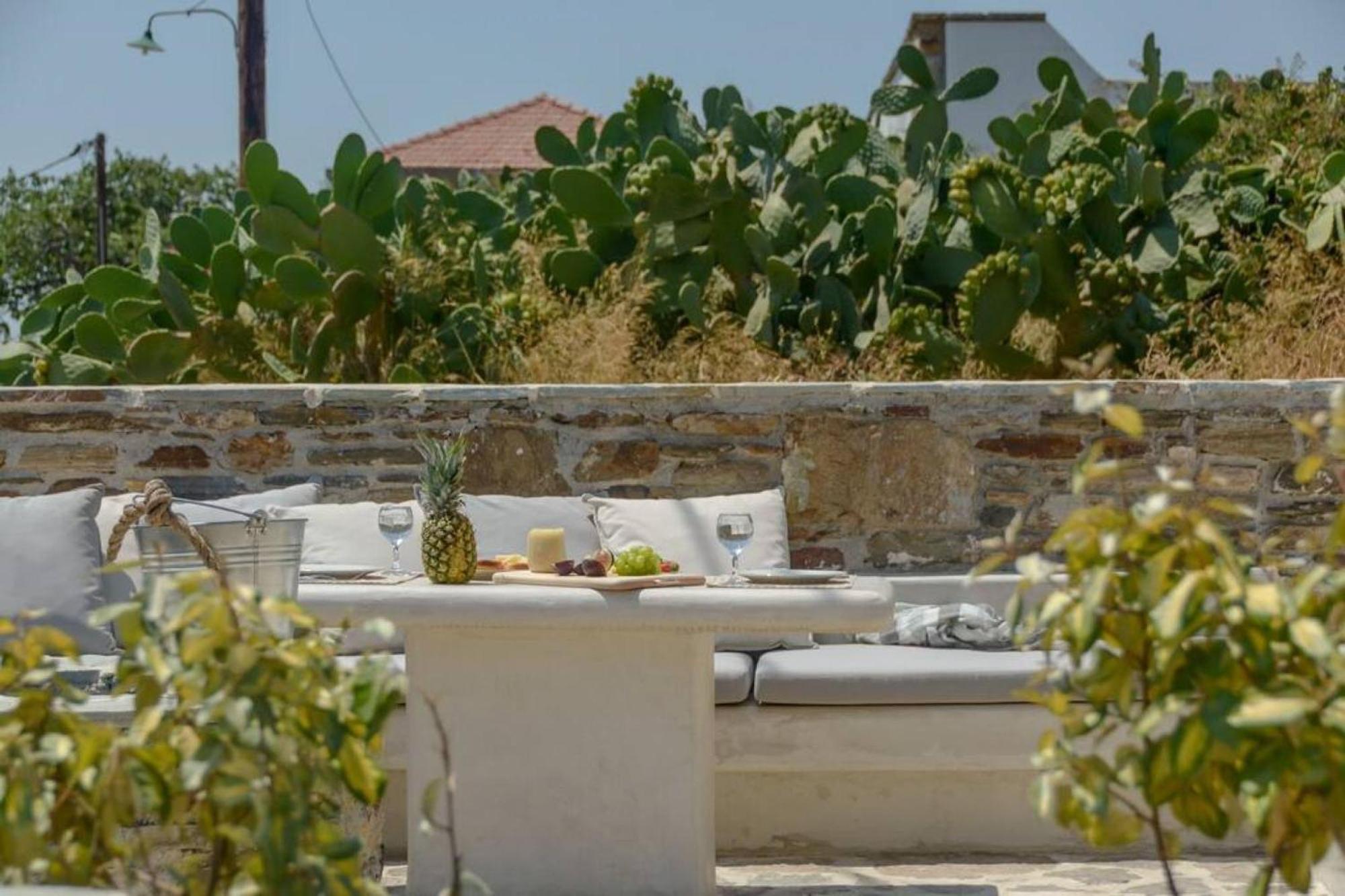 Villa Anthemion Naxos With Outdoor Jacuzzi Ano Sangrion エクステリア 写真